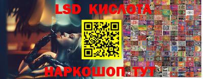 СК Камышлов