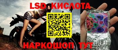 СК Камышлов