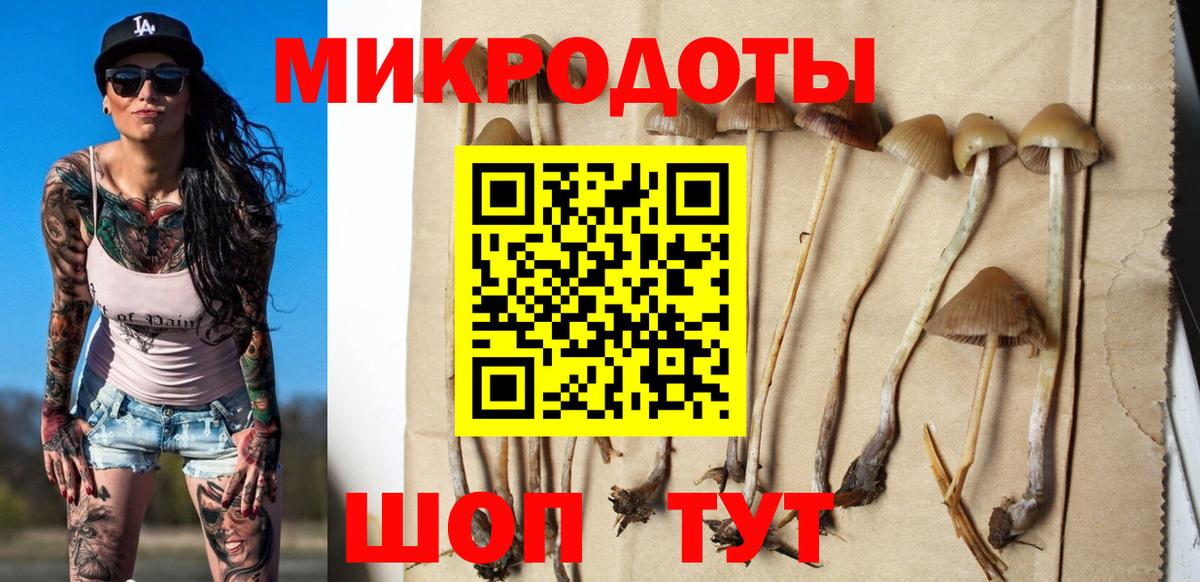 Краснодар  Галлюциногенные грибы Magic Shrooms  Вход с VPN 